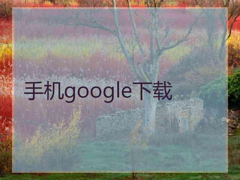 手机google下载