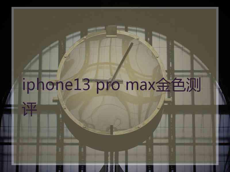 iphone13 pro max金色测评