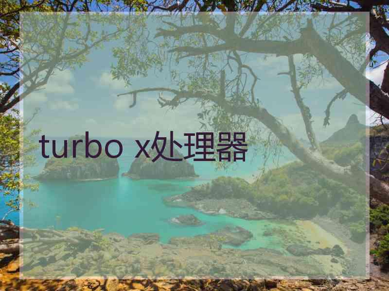 turbo x处理器