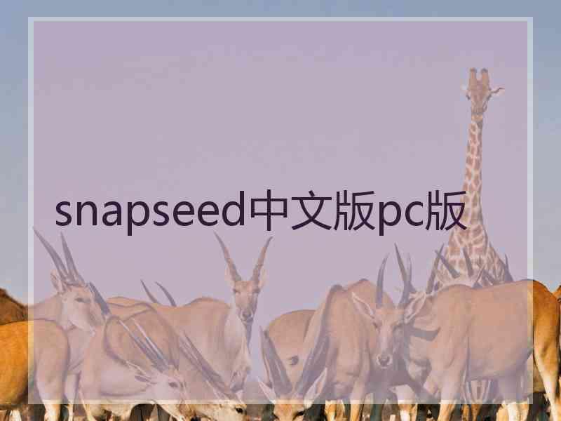 snapseed中文版pc版