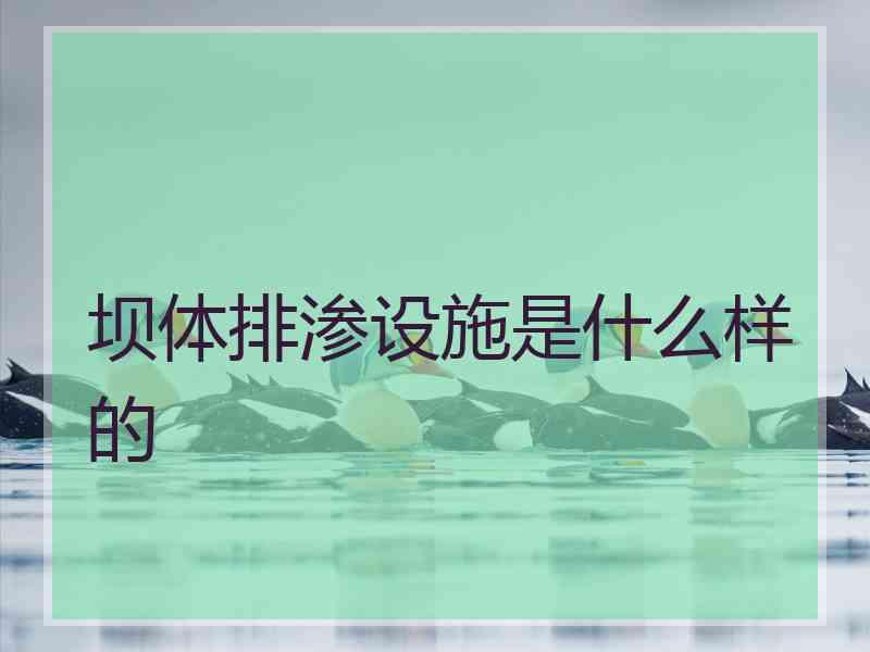 坝体排渗设施是什么样的