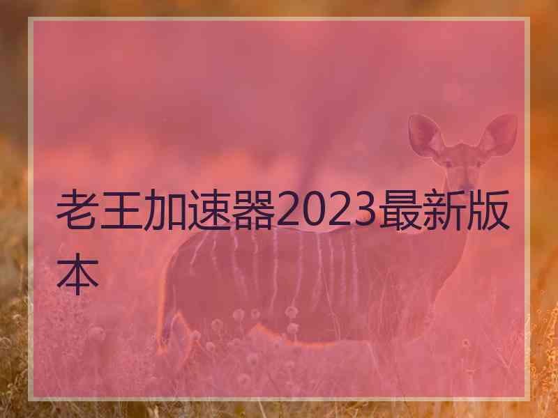 老王加速器2023最新版本