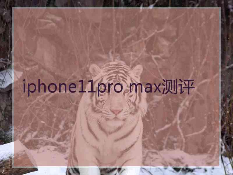 iphone11pro max测评