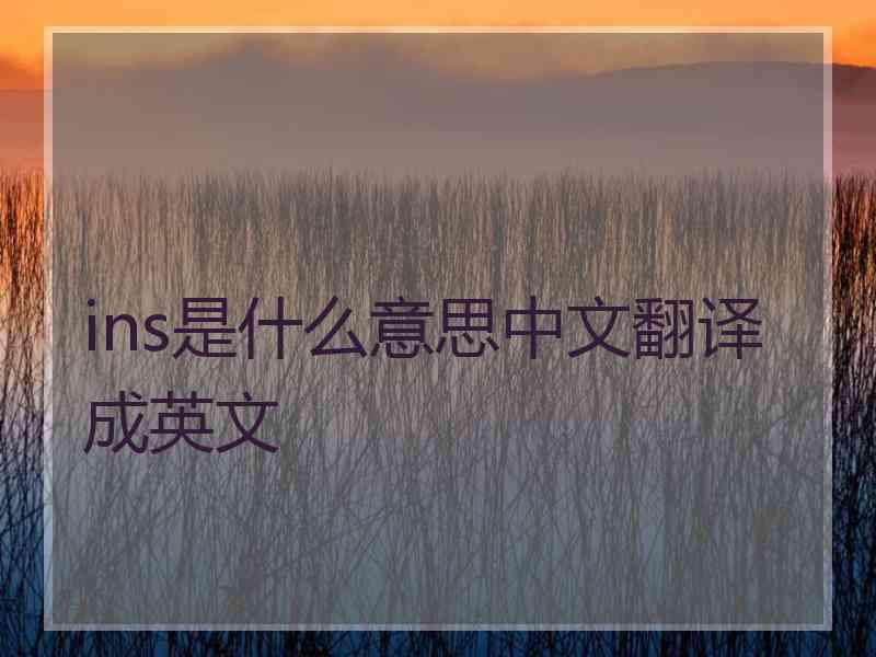 ins是什么意思中文翻译成英文