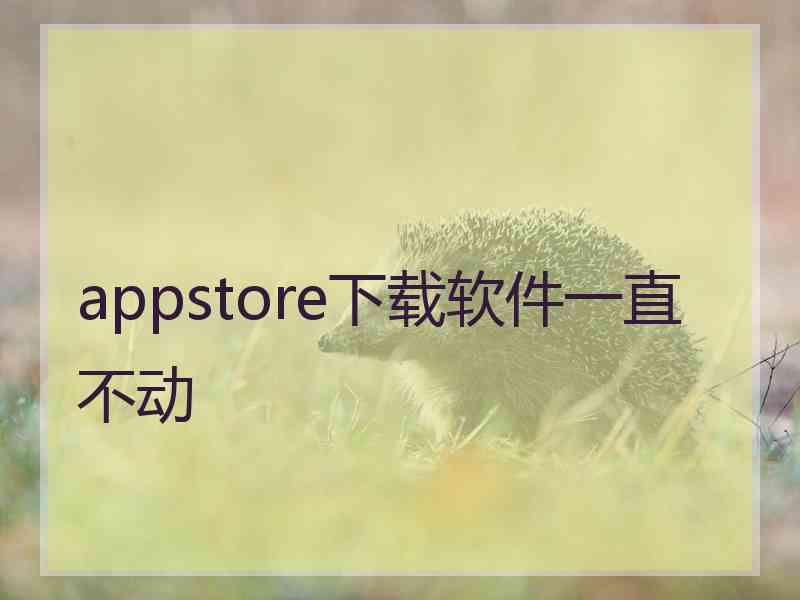 appstore下载软件一直不动