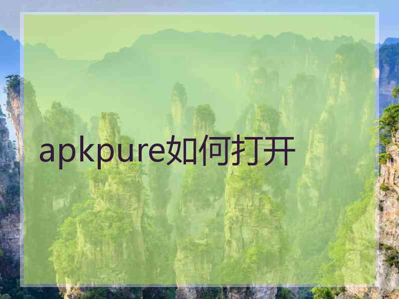 apkpure如何打开