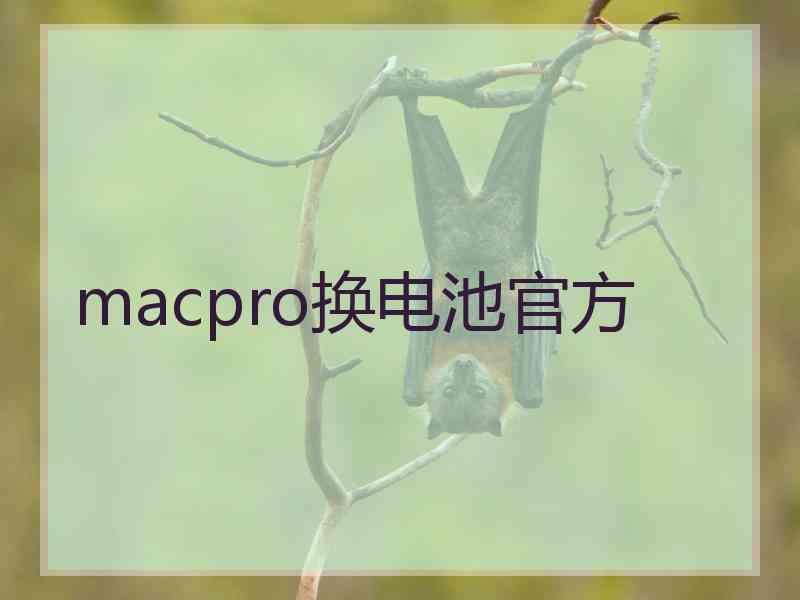 macpro换电池官方