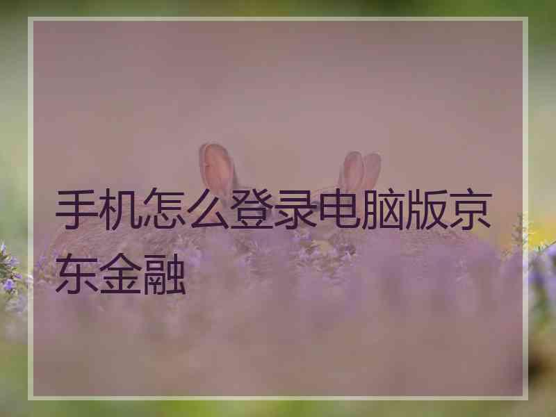 手机怎么登录电脑版京东金融