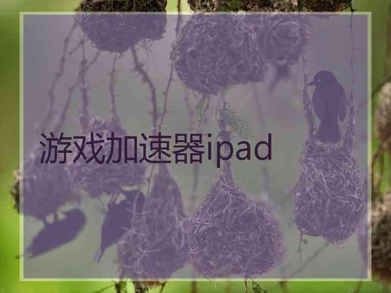 游戏加速器ipad