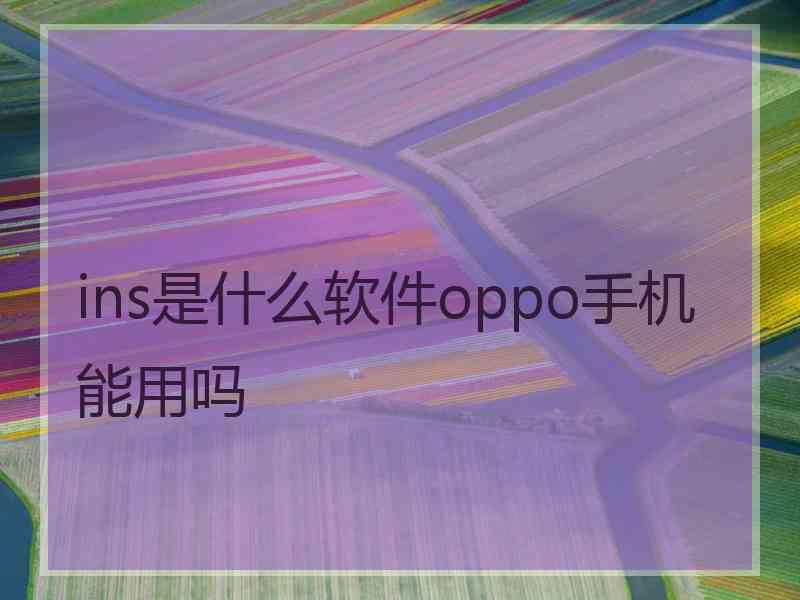 ins是什么软件oppo手机能用吗