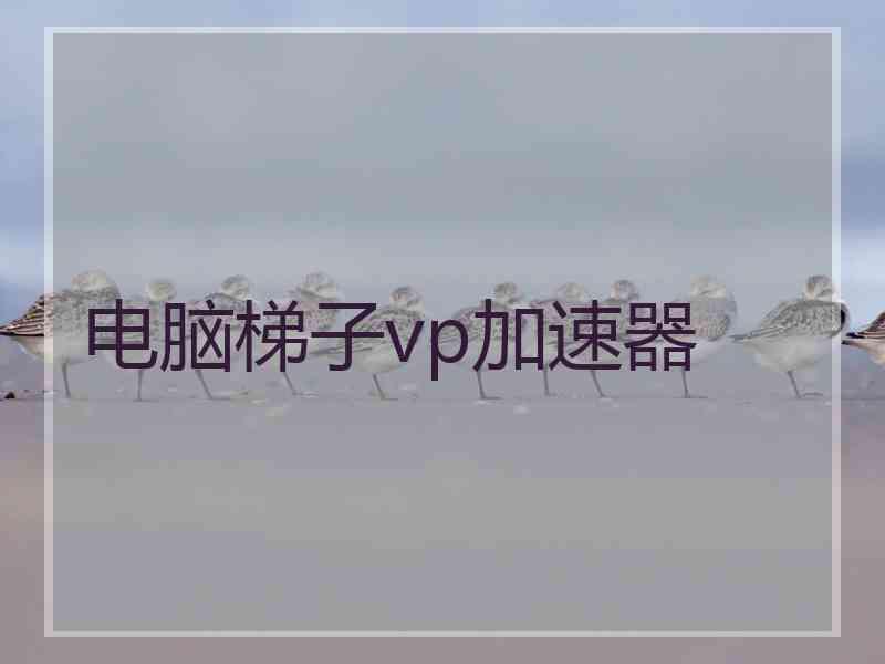 电脑梯子vp加速器