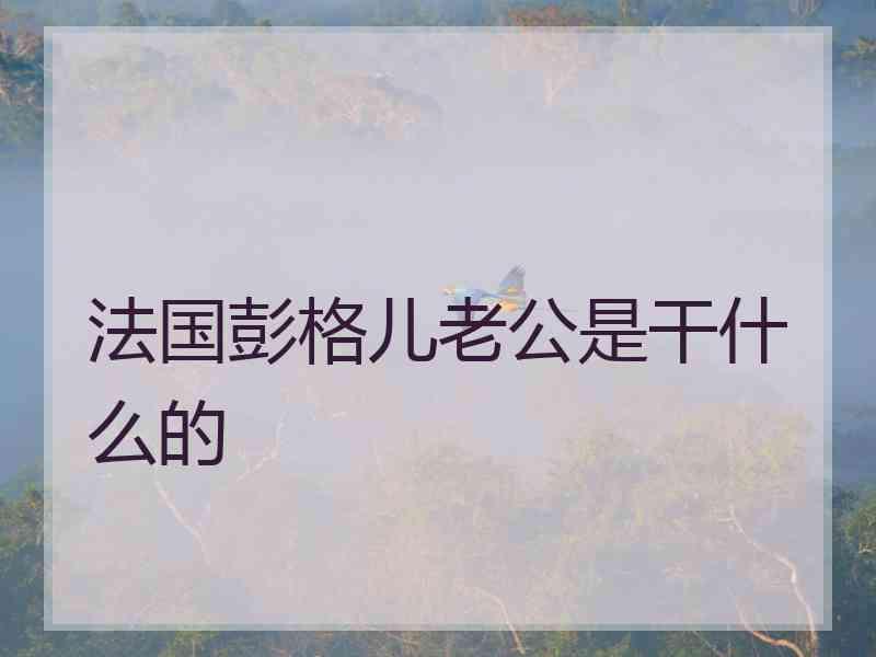 法国彭格儿老公是干什么的