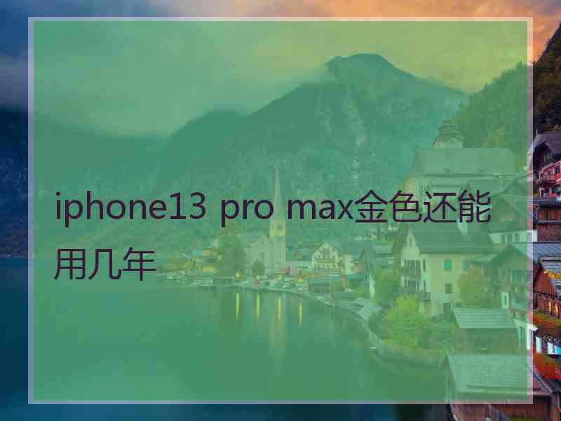 iphone13 pro max金色还能用几年