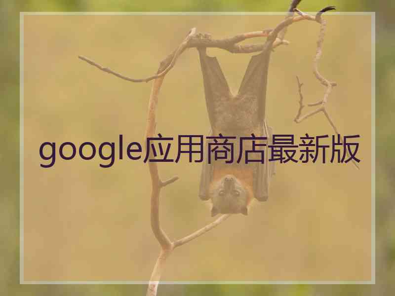 google应用商店最新版