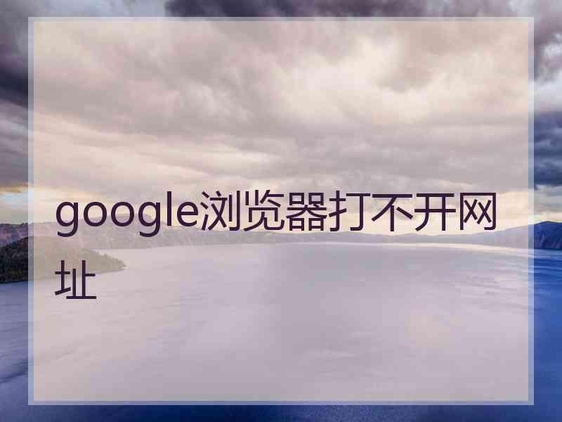 google浏览器打不开网址