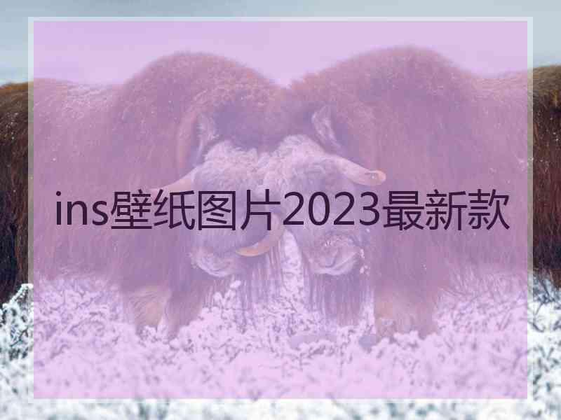 ins壁纸图片2023最新款