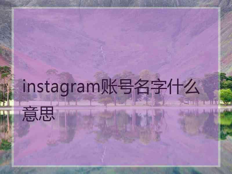 instagram账号名字什么意思