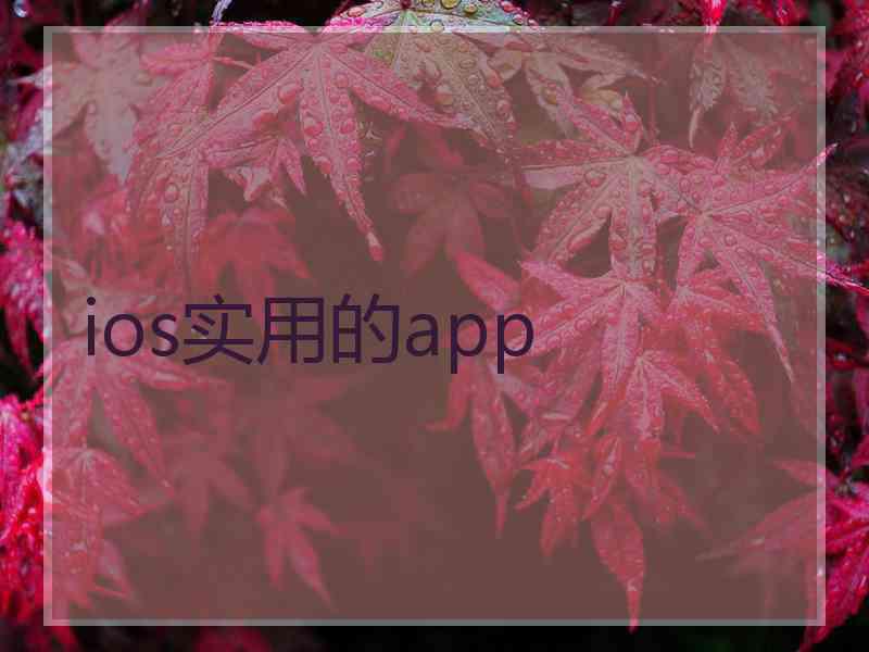 ios实用的app