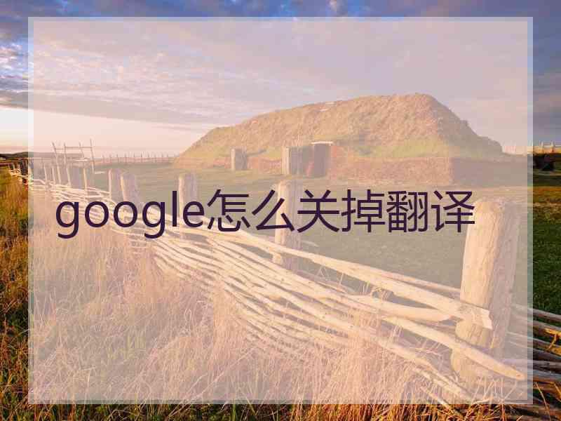 google怎么关掉翻译