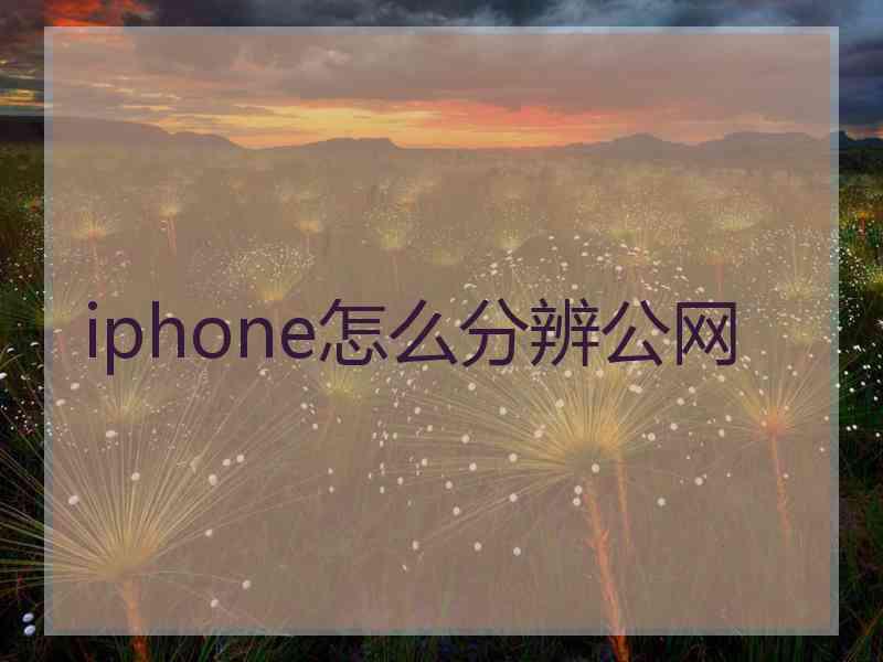 iphone怎么分辨公网