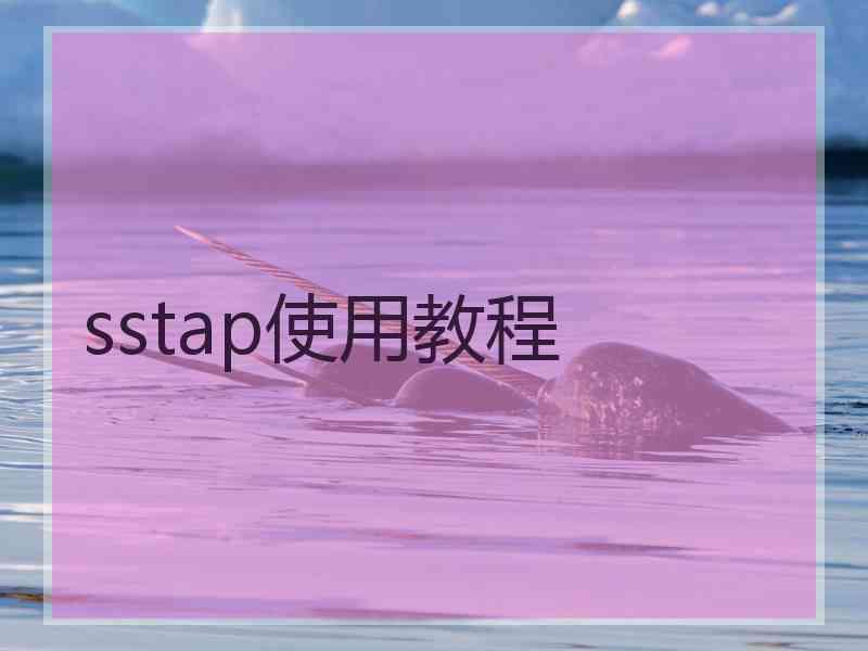 sstap使用教程