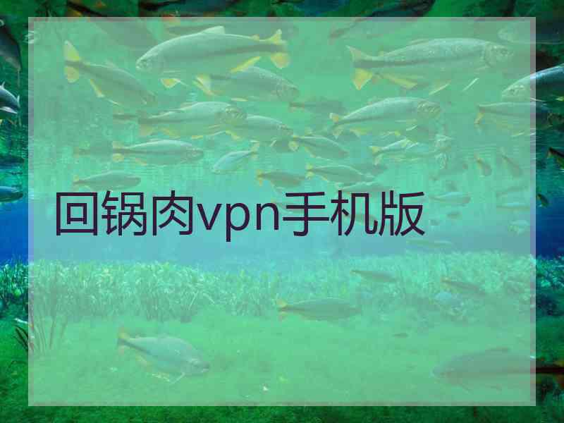 回锅肉vpn手机版