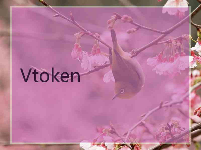 Vtoken