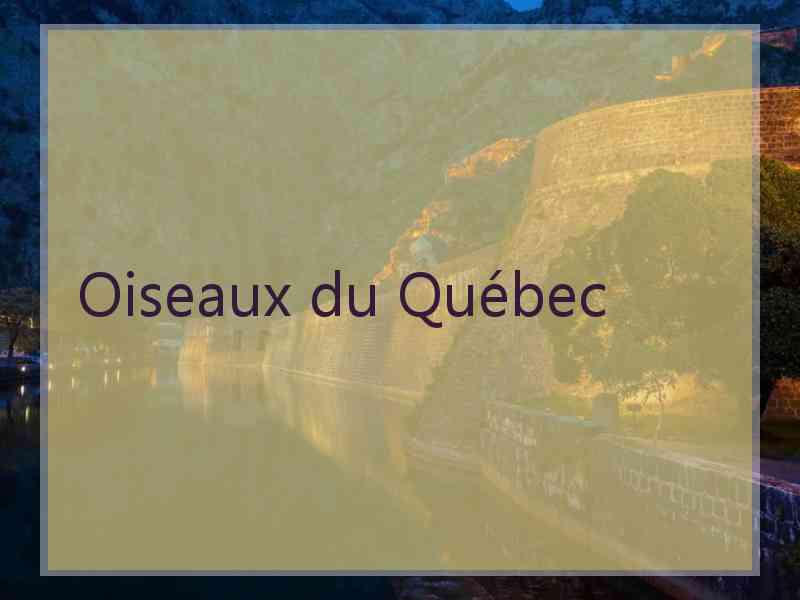 Oiseaux du Québec