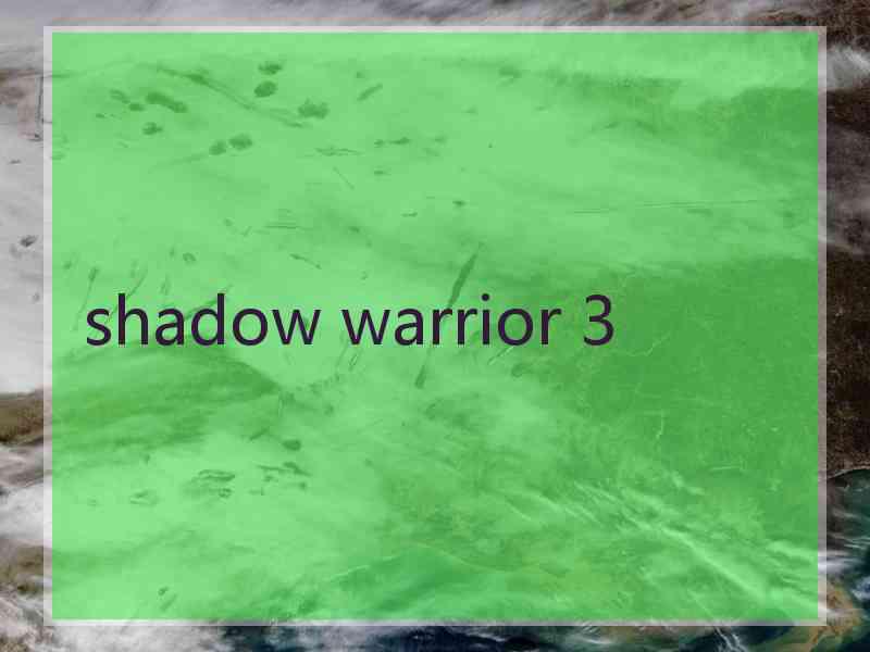 shadow warrior 3