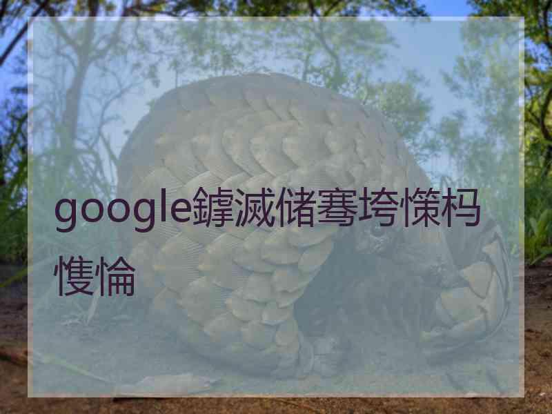 google鎼滅储骞垮憡杩愯惀