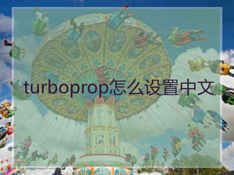 turboprop怎么设置中文