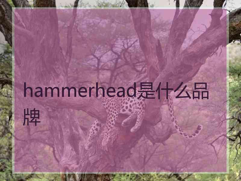 hammerhead是什么品牌