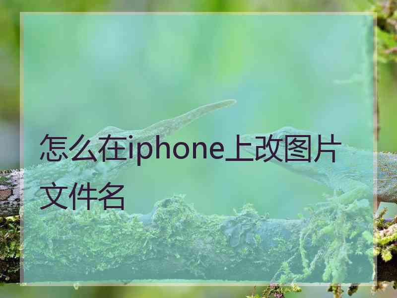 怎么在iphone上改图片文件名