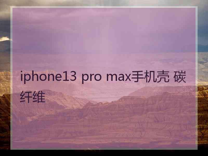 iphone13 pro max手机壳 碳纤维