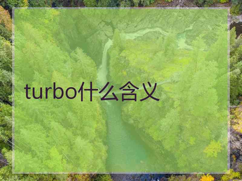 turbo什么含义