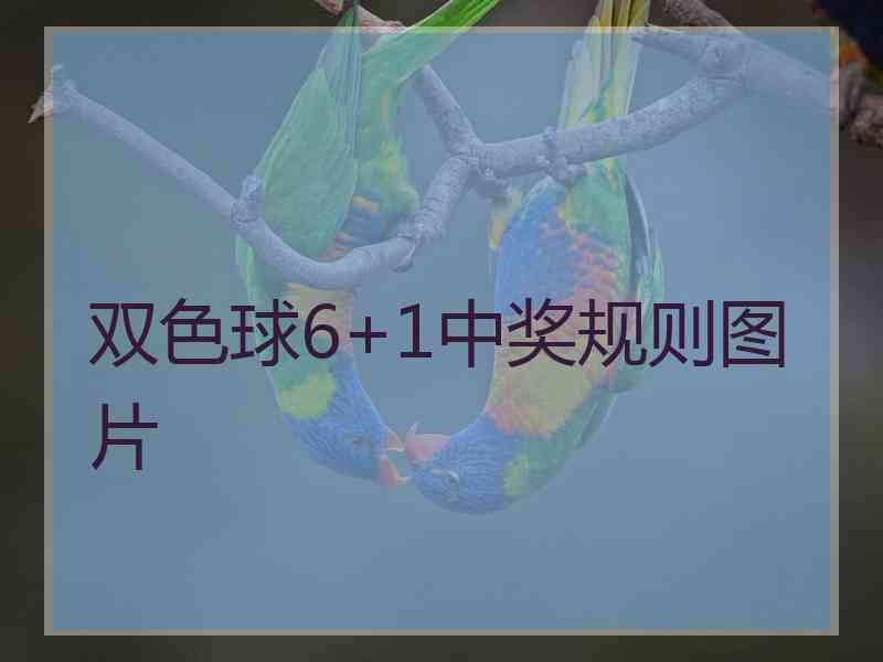 双色球6+1中奖规则图片