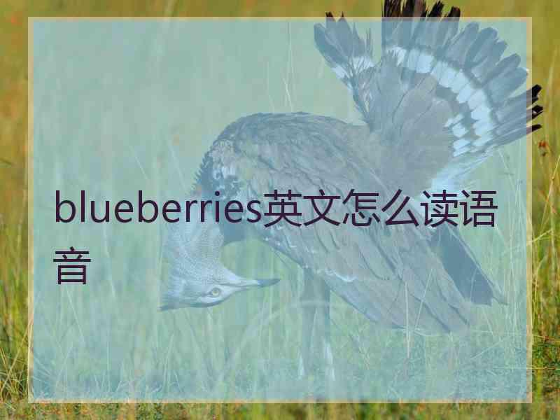 blueberries英文怎么读语音