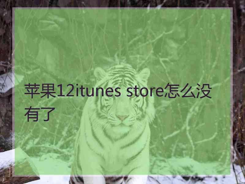 苹果12itunes store怎么没有了