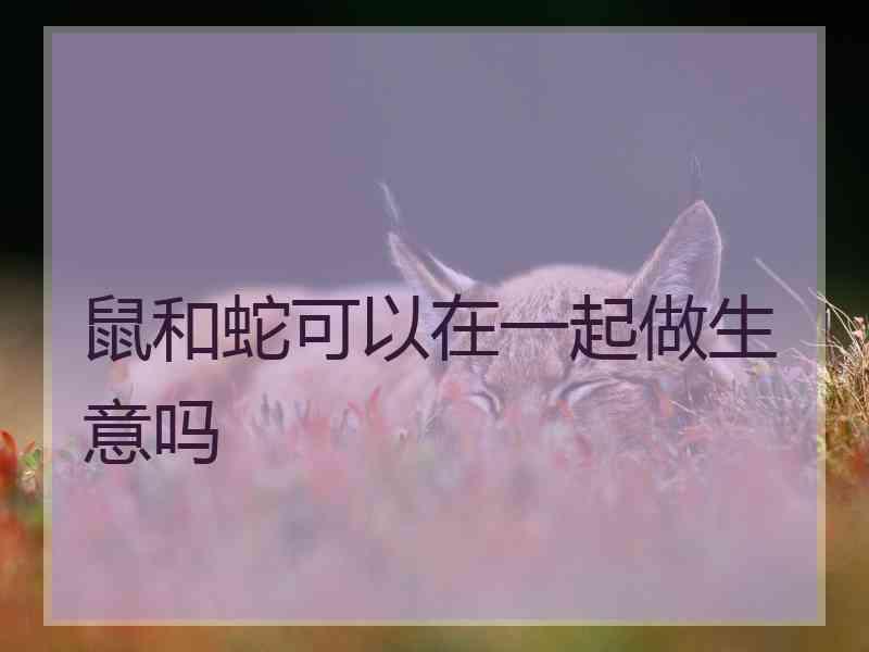 鼠和蛇可以在一起做生意吗