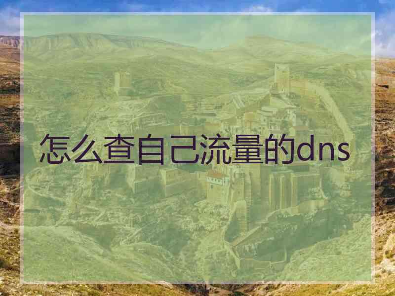 怎么查自己流量的dns