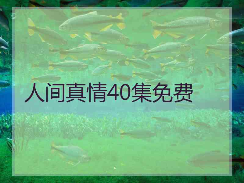 人间真情40集免费