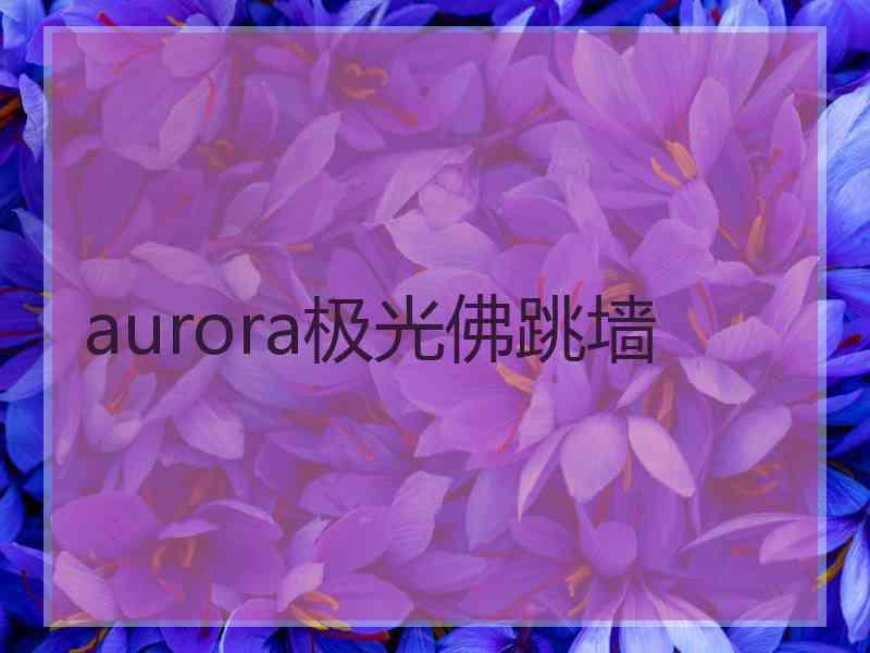 aurora极光佛跳墙