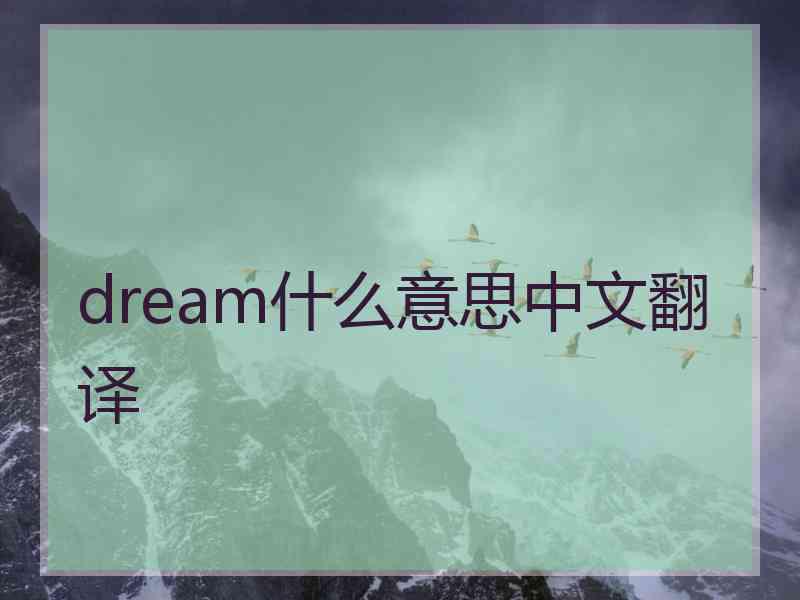 dream什么意思中文翻译