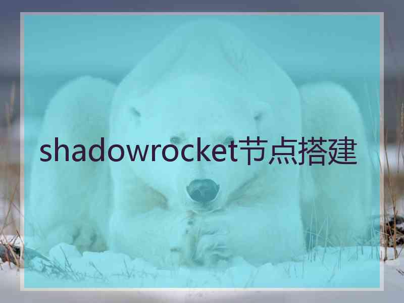 shadowrocket节点搭建