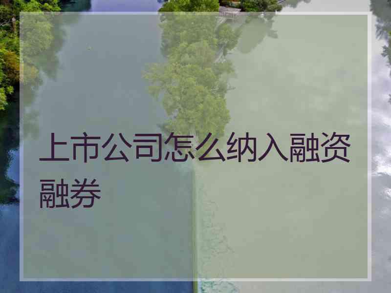 上市公司怎么纳入融资融券