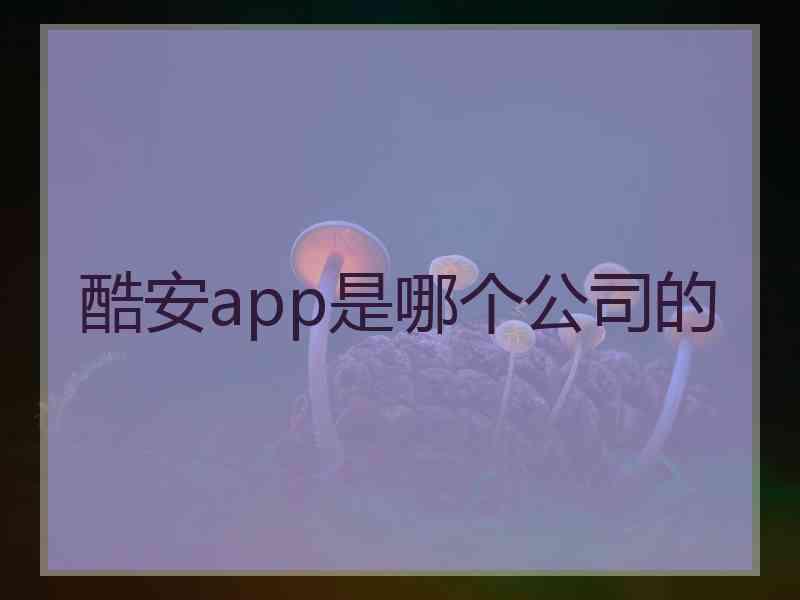 酷安app是哪个公司的