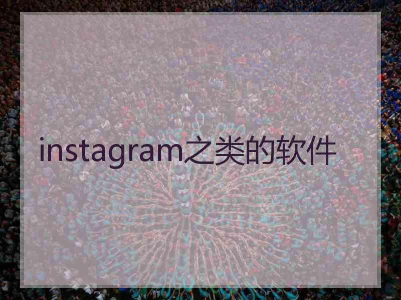 instagram之类的软件