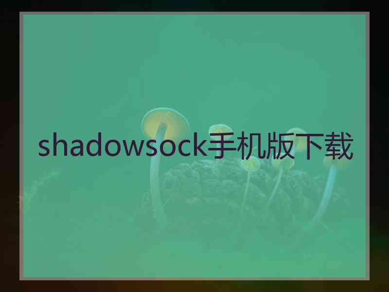 shadowsock手机版下载