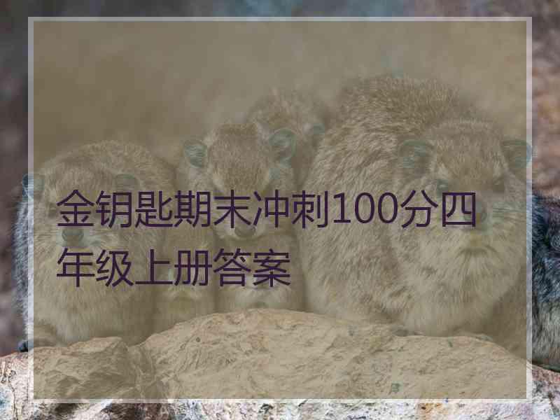 金钥匙期末冲刺100分四年级上册答案