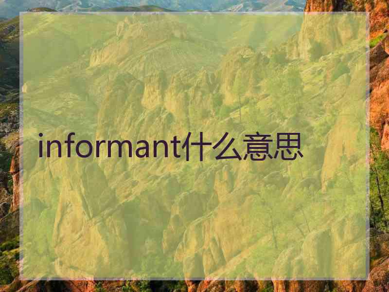 informant什么意思